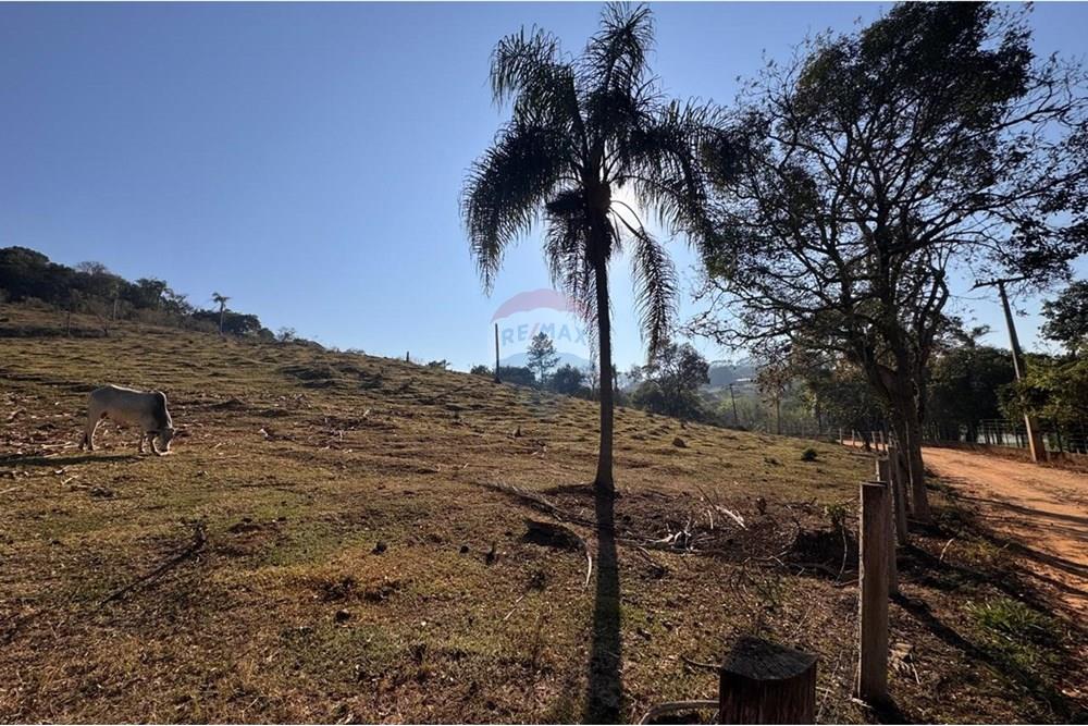 Terreno - Venda - Tuiuti , São Paulo - WhatsApp Image 2025-10-06 at 14.47.26 (5).jpeg - 690041052-114