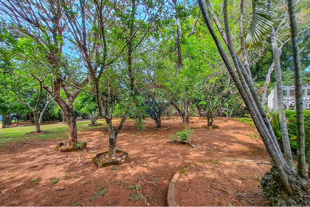 Casa de Condomínio - Venda - Atibaia , São Paulo - 8bdaa608-cc44-412e-9fdf-d79c984c7c3b.jpg - Jardim Externo - 690471111-99