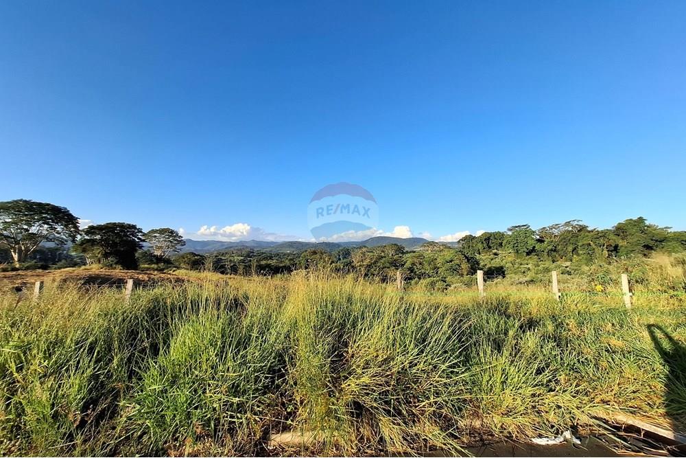 Terreno - Venda - São João da Boa Vista , São Paulo - 20250601_164130.jpg - 690681090-39