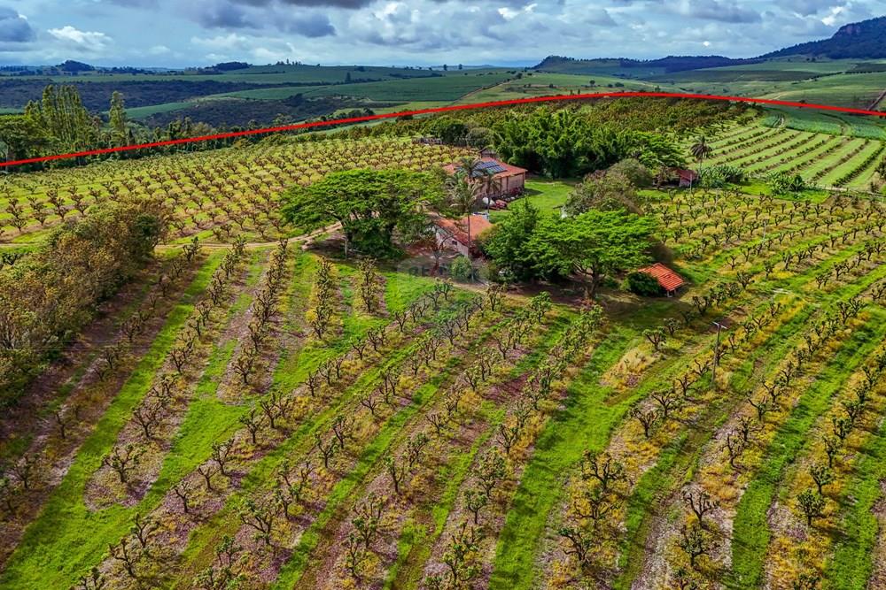Fazenda - Venda - Analândia , São Paulo - Tratada - Drone-48.jpg - 690691016-305