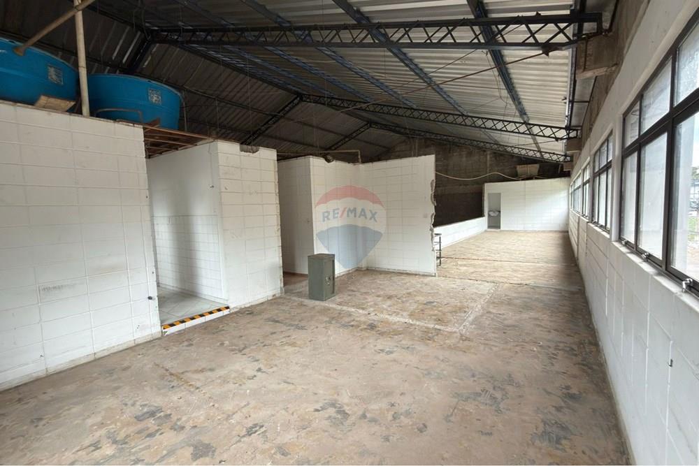 Prédio - Alugar - Campinas , São Paulo - 14.jpeg - 690681014-441