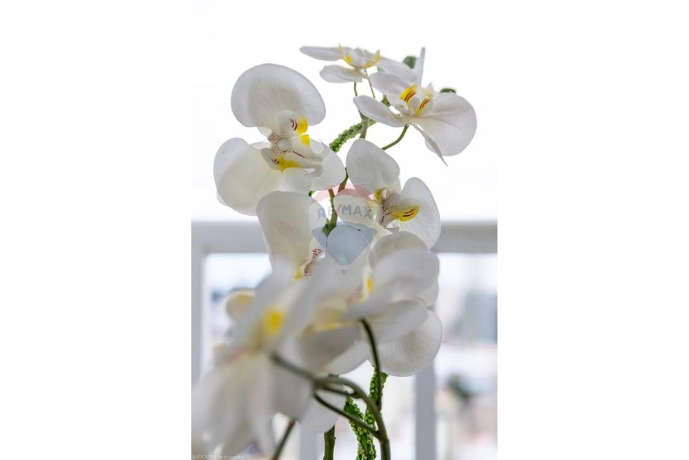 Apartamento - Venda - Itatiba , São Paulo - _C8A5939-HDR-34.jpg - 690791203-55