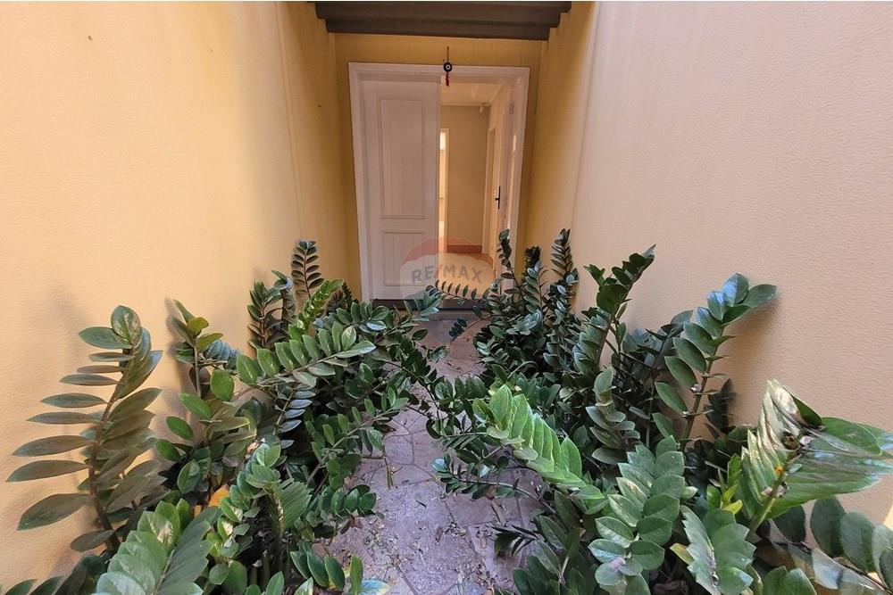 Casa - Alugar - Piracicaba , São Paulo - 20250912_081649.jpg - 690781159-6