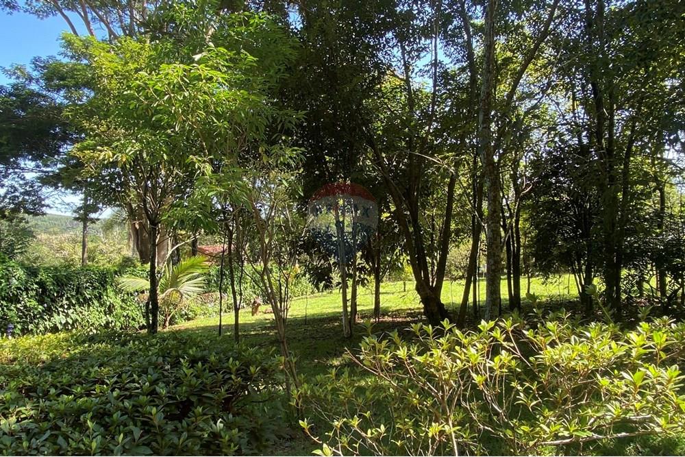 Chácara / Sítio / Fazenda - Venda - Jarinu , São Paulo - C.JPEG - 691121002-22