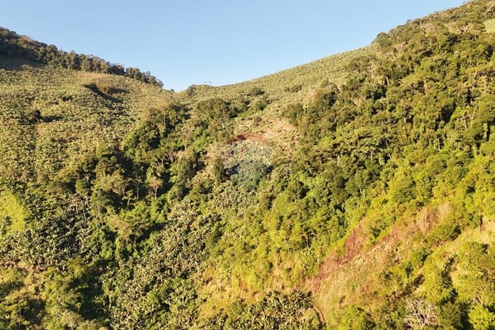 Fazenda - Venda - Miracatu , São Paulo - WhatsApp Image 2025-07-09 at 09.07.24 (1).jpeg - 690061038-15