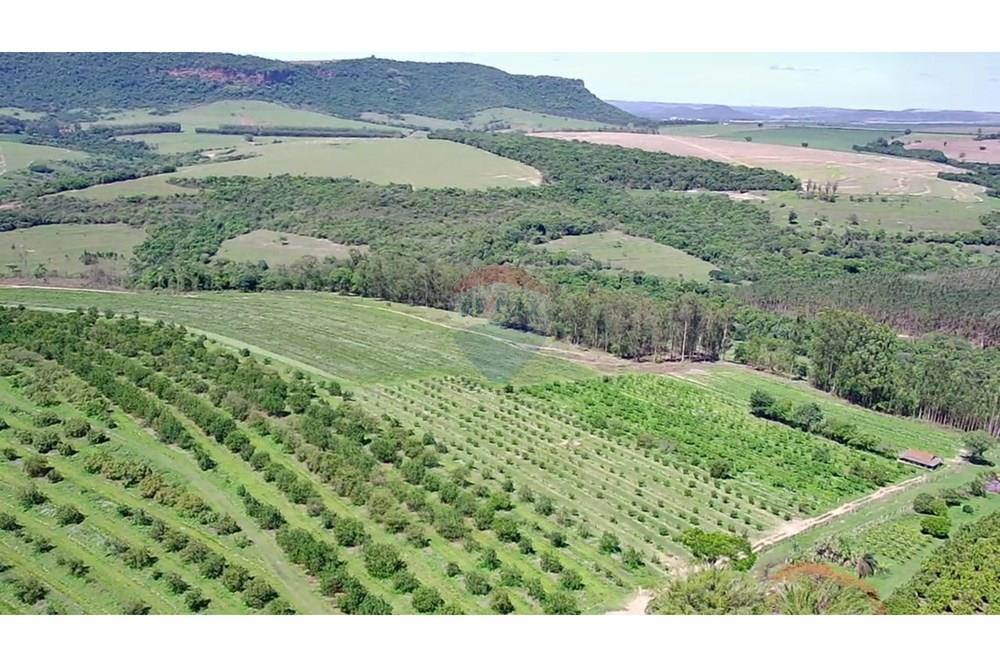 Fazenda - Venda - Analândia , São Paulo - f2b7db51-b66c-4d42-a65d-edacd423c2a3.jpg - 690691016-305
