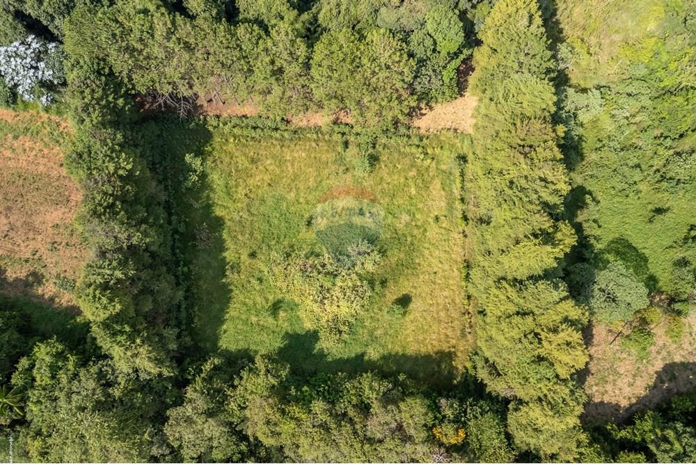 Chácara / Sítio / Fazenda - Venda - Morungaba , São Paulo - TKD-1773.jpg - 690661002-89