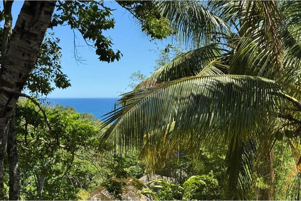 Casa - Venda - Ilhabela , São Paulo - WhatsApp Image 2025-12-11 at 20.18.57 (2).jpeg - 690341033-3