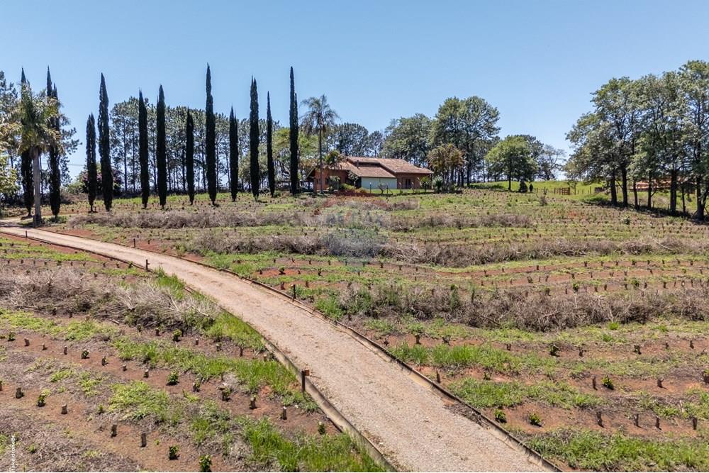 Chácara / Sítio / Fazenda - Venda - Morungaba , São Paulo - TKD-9528.jpg - 690661002-89