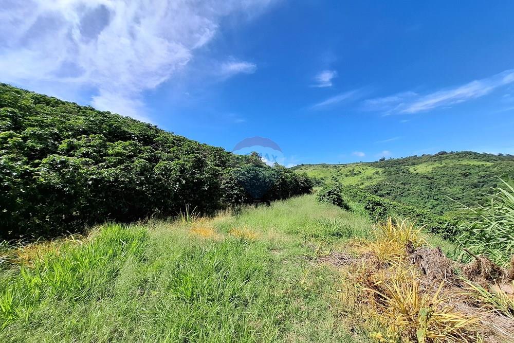 Chácara / Sítio / Fazenda - Venda - São Sebastião da Grama , São Paulo - 20260221_094347.jpg - 690681090-50