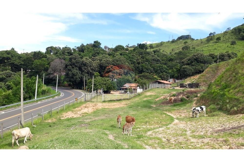 Fazenda - Venda - Serra Negra , São Paulo - 20250211_150726.jpg - 690291056-26