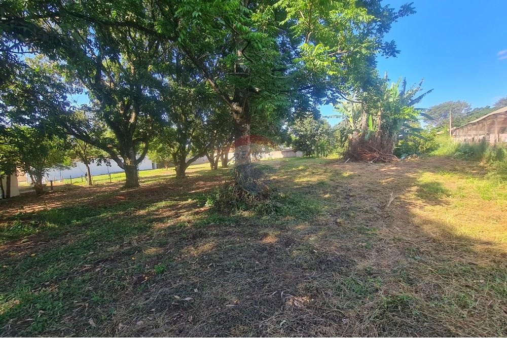 Agro - Alugar - Artur Nogueira , São Paulo - 20251120_155942.jpg - 690671009-93