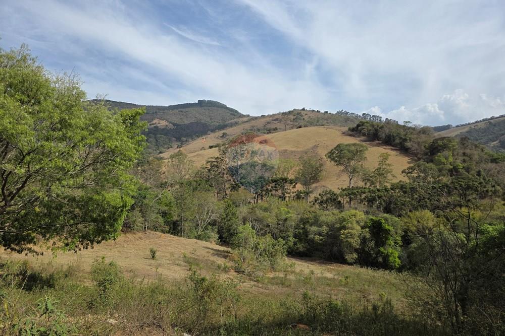 Terreno - Venda - Camanducaia , Minas Gerais - 20250919_144858.jpg - 690041041-51