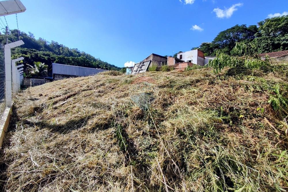 Terreno - Venda - Pedreira , São Paulo - 9.jpg - 690671008-364