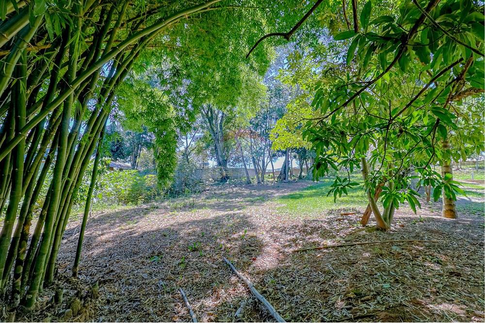 Terreno - Venda - Atibaia , São Paulo - RINF-17.jpg - 690921066-43