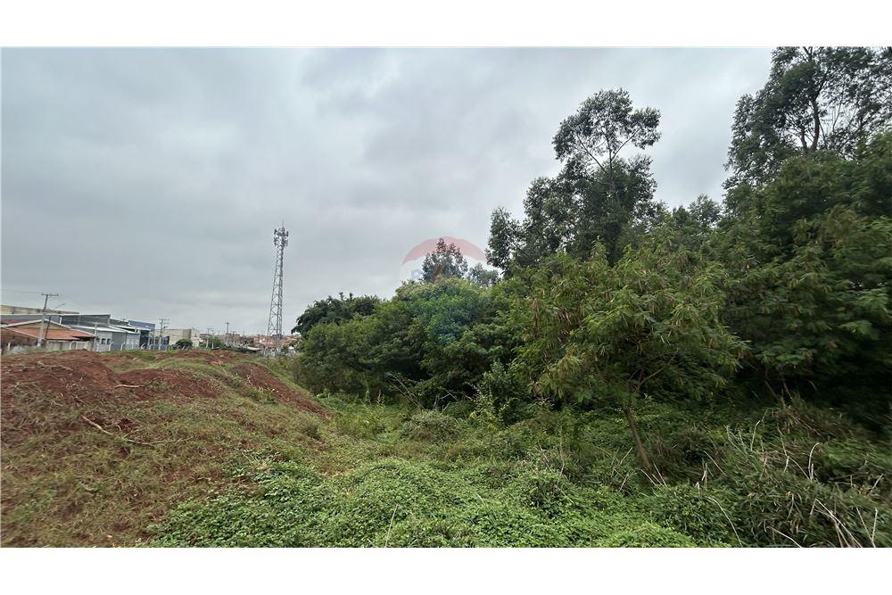 Terreno - Venda - Nova Odessa , São Paulo - 33 - 690641010-544