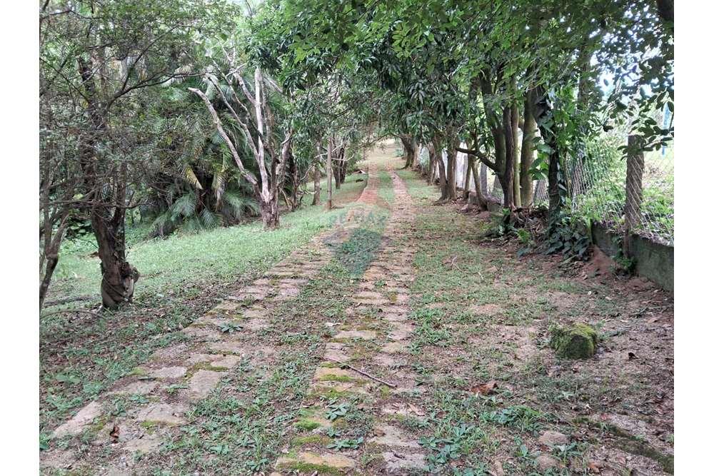 Chácara / Sítio / Fazenda - Venda - Valinhos , São Paulo - foto 3.jpg - 690851076-164