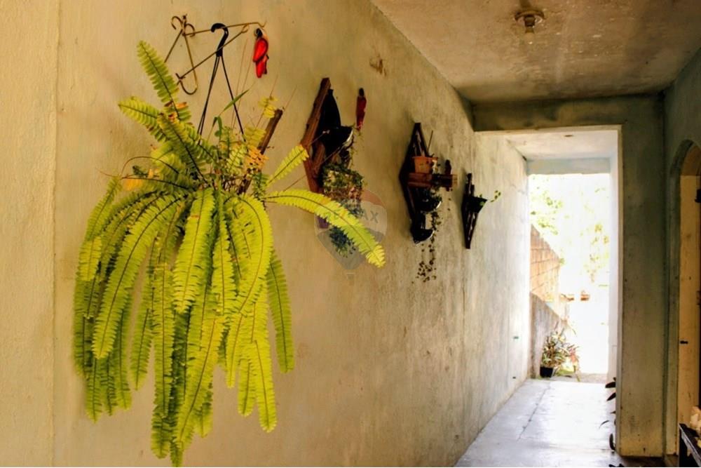 Casa - Venda - Registro , São Paulo - WhatsApp Image 2025-10-16 at 20.30.22.jpeg - 690061040-14