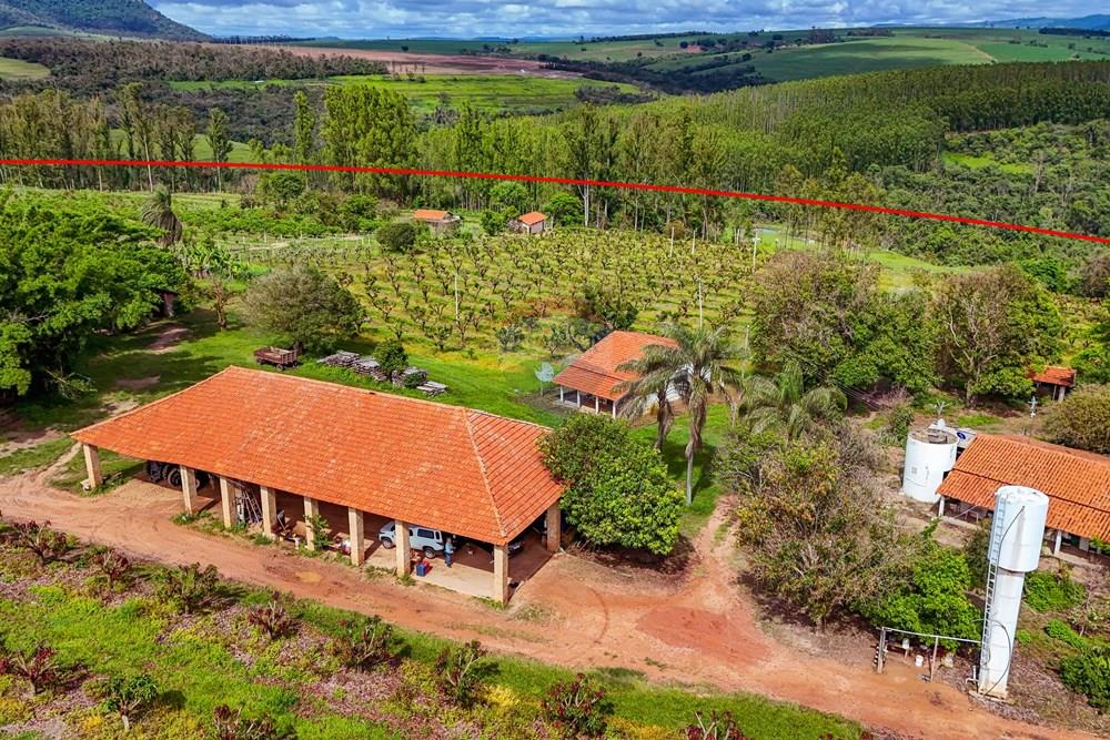 Fazenda - Venda - Analândia , São Paulo - Tratada - Drone-63.jpg - 690691016-305