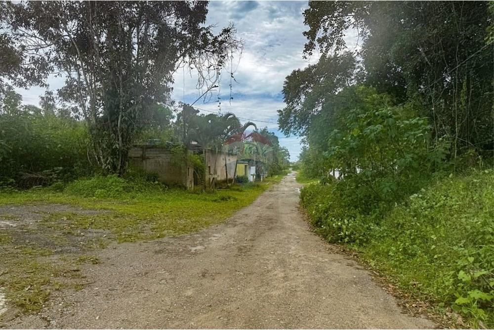 Terreno - Venda - Peruíbe , São Paulo - WhatsApp Image 2025-11-08 at 12.36.08 (2).jpeg - 691111040-21