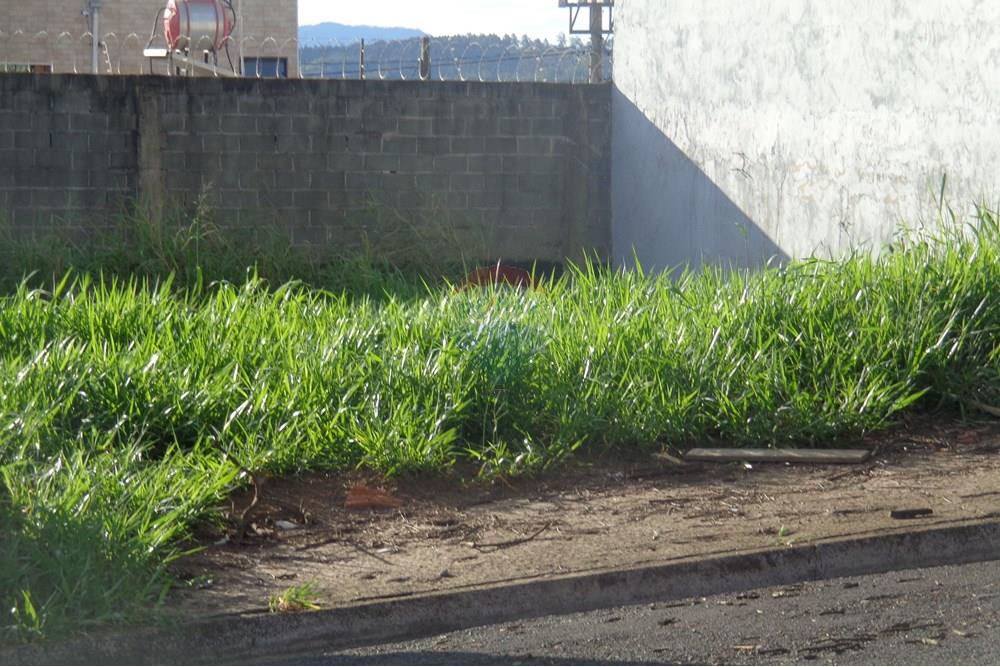 Terreno - Venda - Rio Claro , São Paulo - DSC00017.JPG - 690811004-75