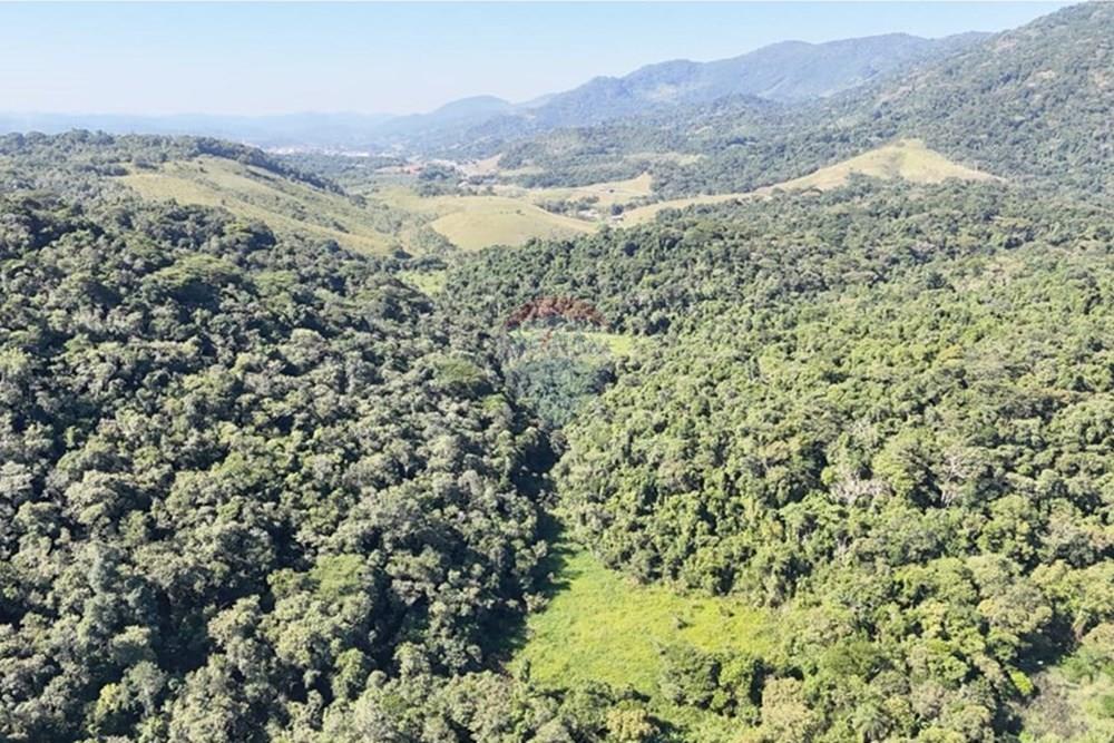 Fazenda - Venda - Miracatu , São Paulo - WhatsApp Image 2025-05-20 at 13.34.35.jpeg - 690061038-9