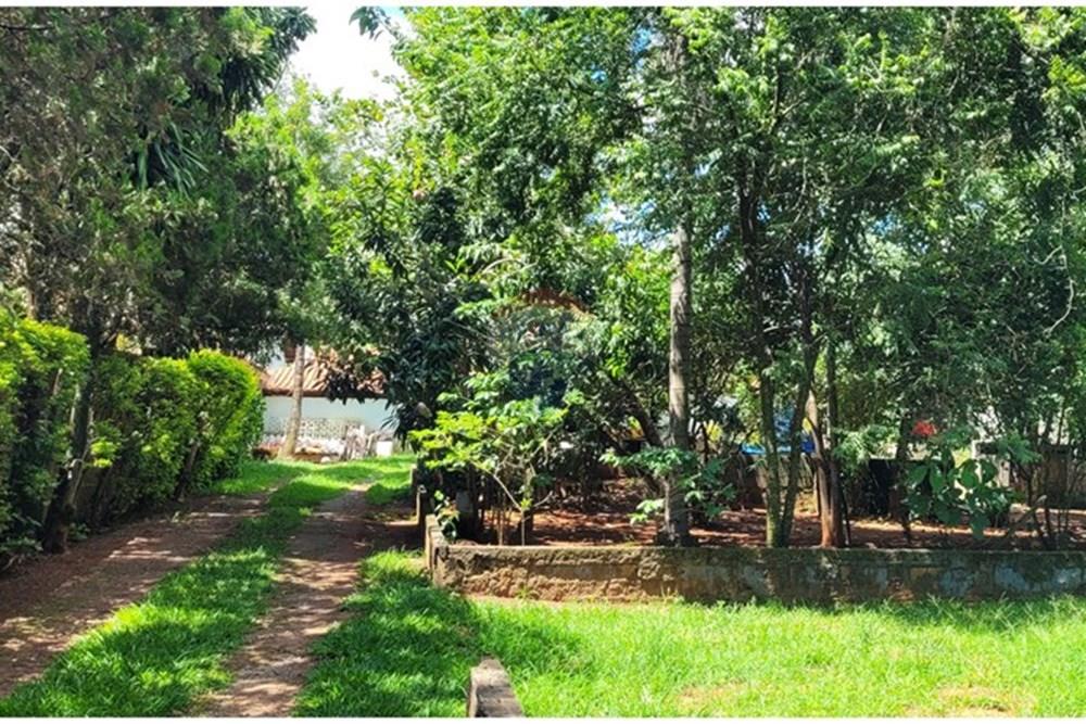 Chácara / Sítio / Fazenda - Venda - Nova Odessa , São Paulo - 20260109_140034.jpg - 690641010-577