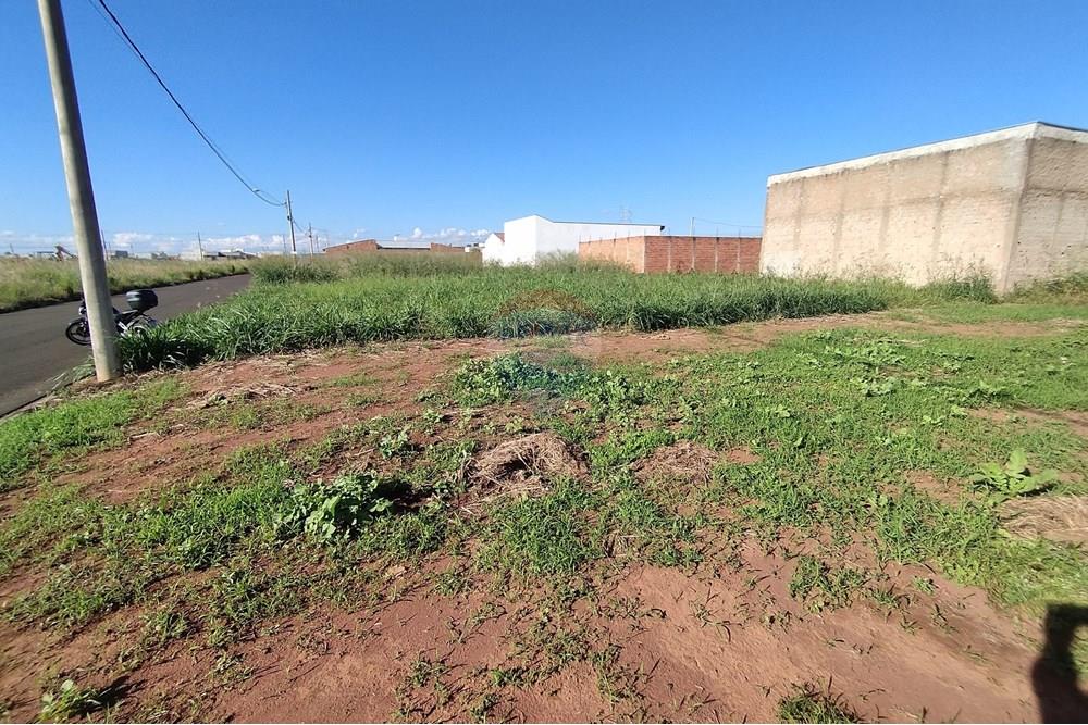 Terreno - Venda - Mogi Guaçu , São Paulo - IMG_20250430_153520.jpg - 690521005-80