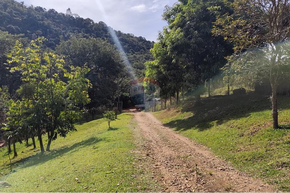 Chácara / Sítio / Fazenda - Venda - Itapira , São Paulo - 1751510168932.jpg - 690291085-364