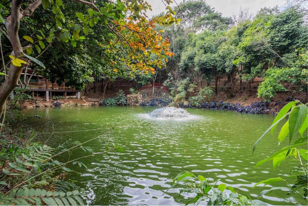 Casa de Condomínio - Venda - Valinhos , São Paulo - foto imobiliarias- brmaker-0-129.jpg - 690491084-75