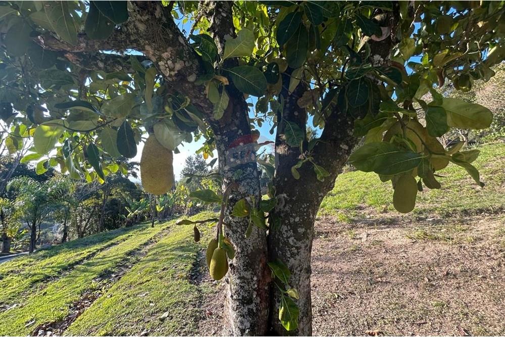 Chácara / Sítio / Fazenda - Venda - Atibaia , São Paulo - WhatsApp Image 2025-07-18 at 14.42.57 (2).jpeg - 690661027-125