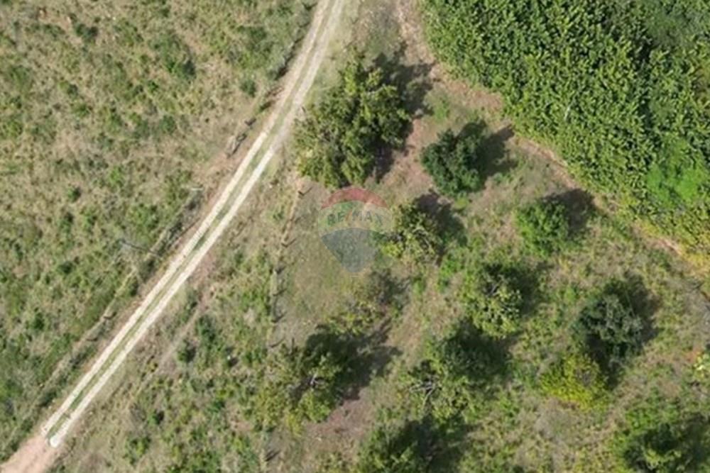 Chácara / Sítio / Fazenda - Venda - Itapira , São Paulo - IMG-20250713-WA0600.jpg - 690291085-364