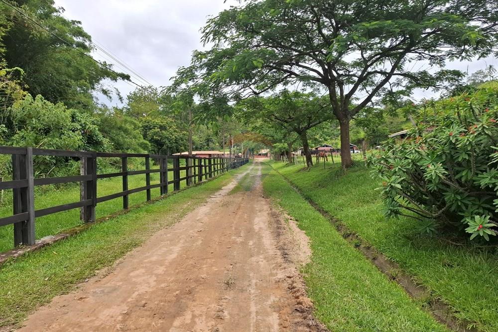 Chácara / Sítio / Fazenda - Venda - Amparo , São Paulo - 20260121_102703.jpg - 690681090-49