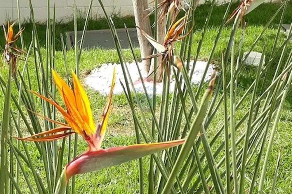 Apartamento - Venda - Piracicaba , São Paulo - Imagem3.jpg - 690781182-30