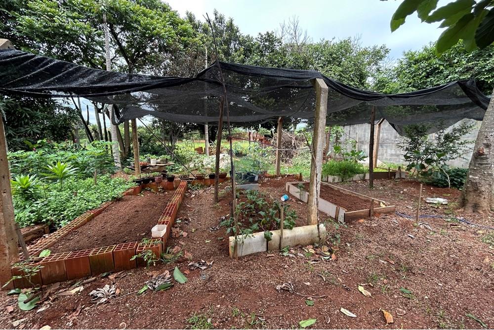 Chácara / Sítio / Fazenda - Venda - Sumaré , São Paulo - IMG_2455.JPG - 690641010-575