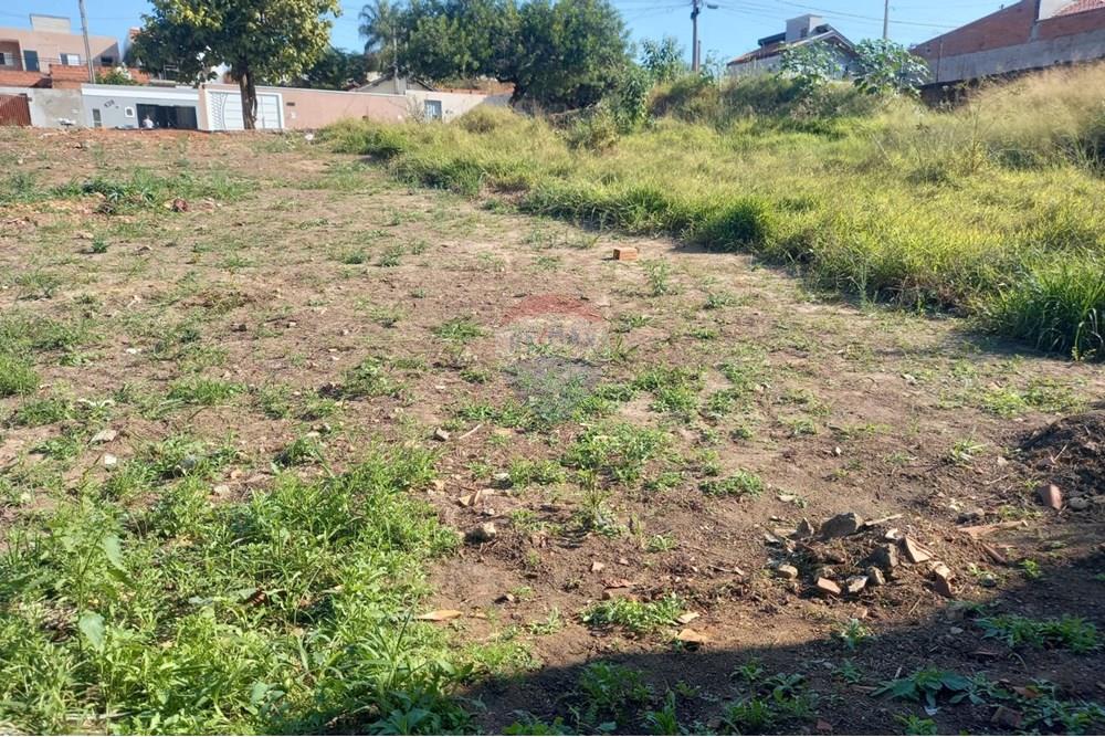 Terreno - Venda - Mogi Mirim , São Paulo - 46157d4a-4caa-46b7-8967-9acc08cc92a0.jpeg - 690751001-231