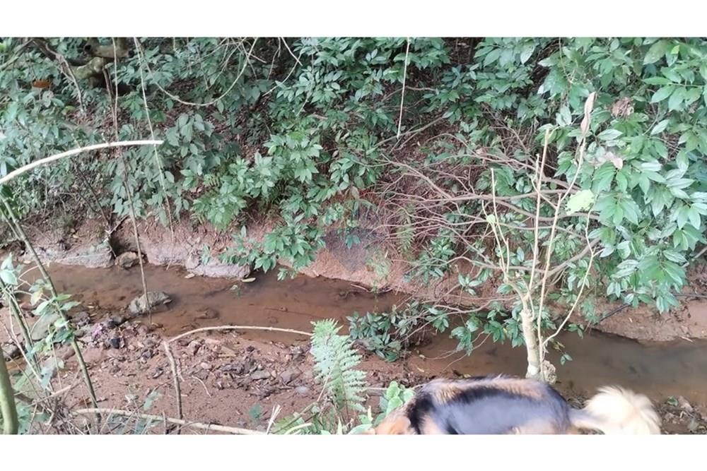 Terreno - Venda - Vinhedo , São Paulo - 5ccd58da-c4b1-424a-8a42-f6380bf25541.jpg - 690851008-487