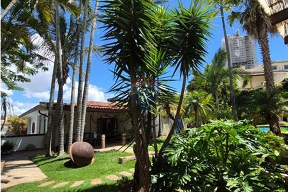 Casa Comercial - Alugar - Campinas , São Paulo - WhatsApp Image 2026-01-12 at 09.15.11 (1).jpeg - 690681197-3