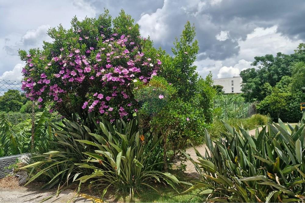 Apartamento - Alugar - Vinhedo , São Paulo - WhatsApp Image 2026-01-14 at 16.21.39.jpeg - 690541185-81