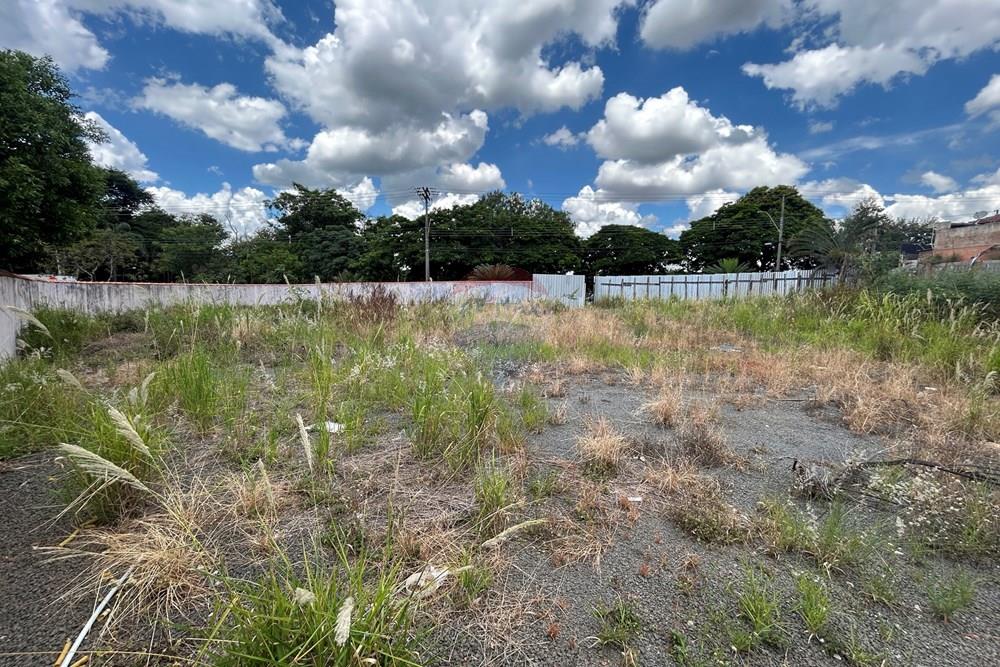 Terreno - Venda - Nova Odessa , São Paulo - IMG_3082.JPG - 690641010-580