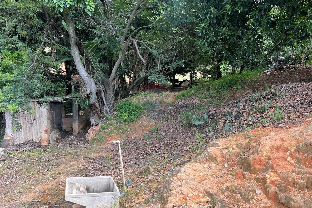 Chácara / Sítio / Fazenda - Venda - Serra Negra , São Paulo - IMG_8926.jpg - 690291056-34