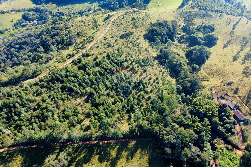 Chácara / Sítio / Fazenda - Venda - Socorro , São Paulo - dji_fly_20250617_095628_236_1750165123877_photo_optimized.jpg - 690291056-39