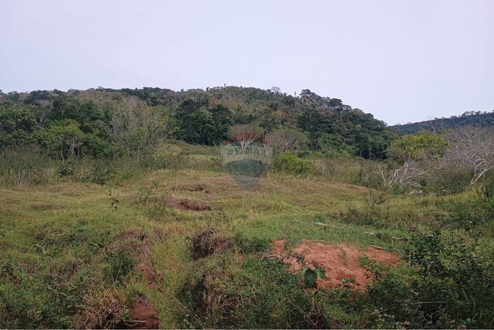 Chácara / Sítio / Fazenda - Venda - Santa Maria da Serra , São Paulo - d7934807-2043-4383-9032-5185bd97e397.jpg - 690571076-32