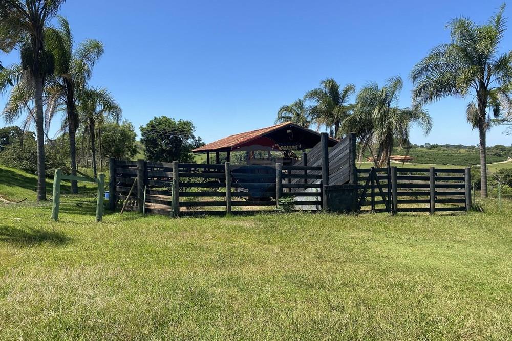 Fazenda - Venda - Piraju , São Paulo - IMG_7350.jpg - 690061038-29