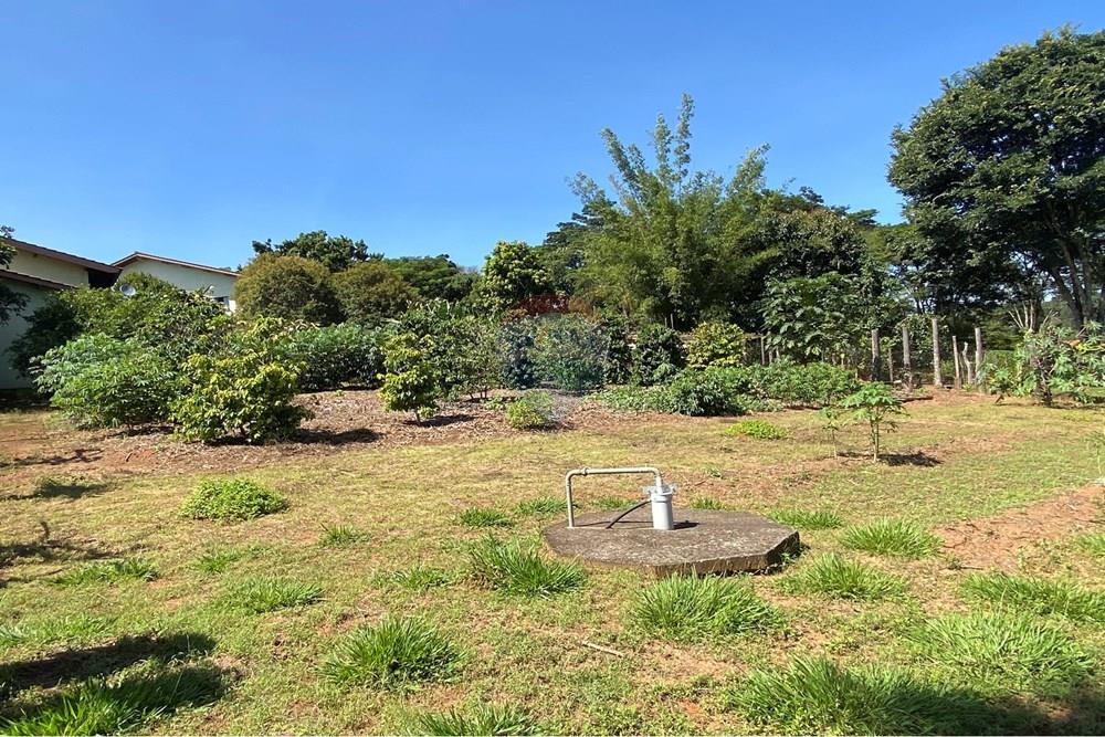 Chácara / Sítio / Fazenda - Venda - Jarinu , São Paulo - Z27.JPEG - 691121003-48