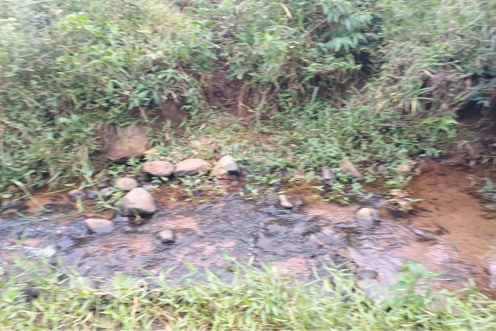 Chácara / Sítio / Fazenda - Venda - Santa Maria da Serra , São Paulo - 0294ccad-8798-4d4b-a0b9-d03581631ee3.jpg - 690571076-32