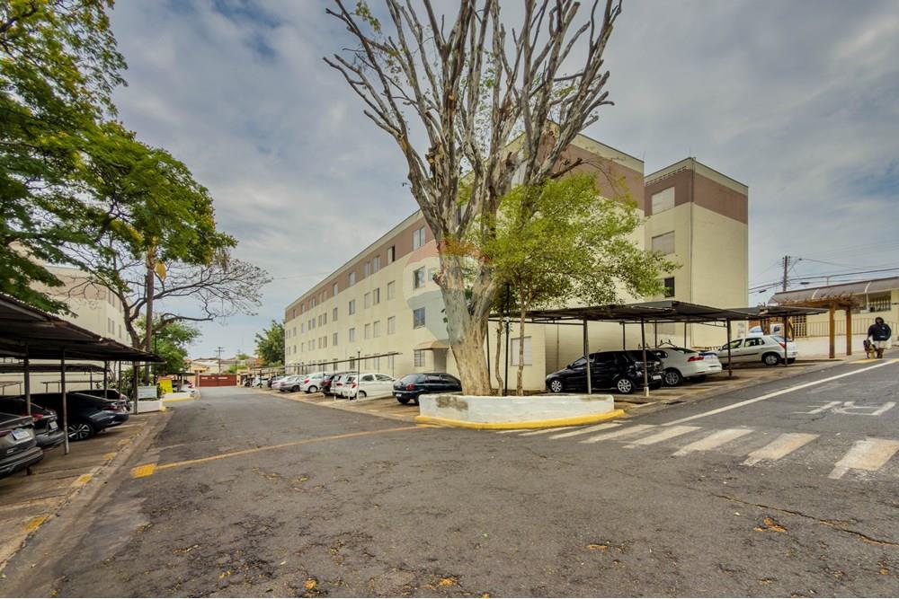 Apartamento - Venda - Campinas , São Paulo - 1 (17).jpg - 691181018-40