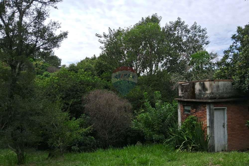 Chácara / Sítio / Fazenda - Venda - Valinhos , São Paulo - foto 19.jpg - 690851076-164