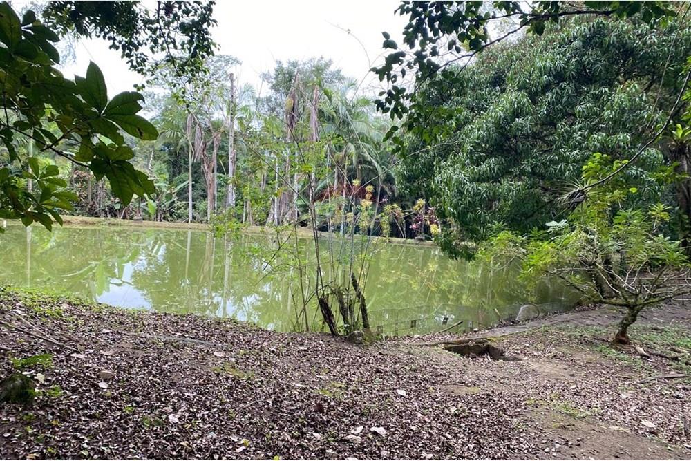 Fazenda - Venda - Juquiá , São Paulo - WhatsApp Image 2025-08-14 at 15.14.49 (3).jpeg - 690061038-11