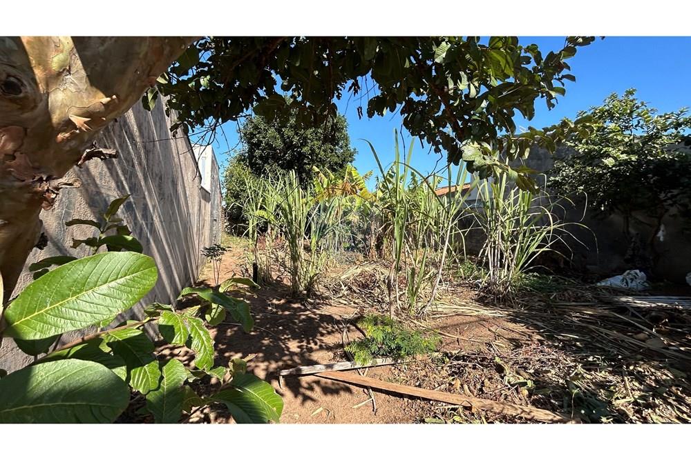 Residential - Κτήμα - Nova Odessa , Σάο Πάολο - BR - IMG_9662.jpg - 690641010-556